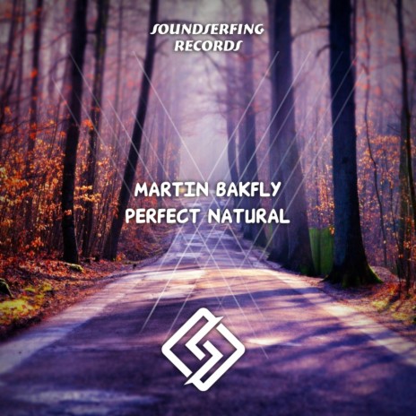 Perfect Natural (Radio Mix) | Boomplay Music