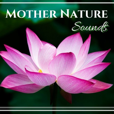 Flute & Sea Serenity | Boomplay Music