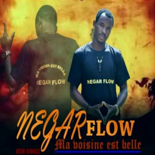 Negar Flow