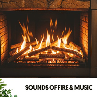 Sounds of Fire & Music: Igniting the Soul through Melodies