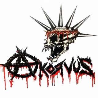 Akorvus