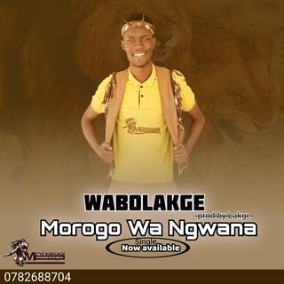 MOROGO WA NGWANA