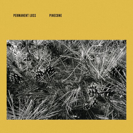 Pinecone | Boomplay Music