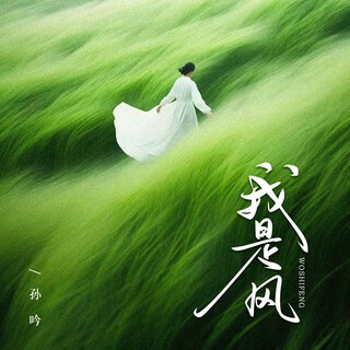 我是风 lyrics | Boomplay Music