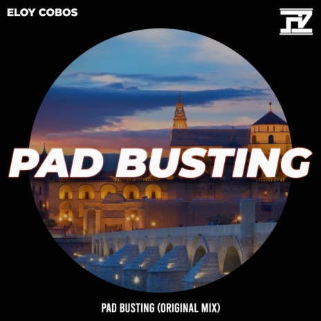 Pad Busting (Original Mix) | Boomplay Music
