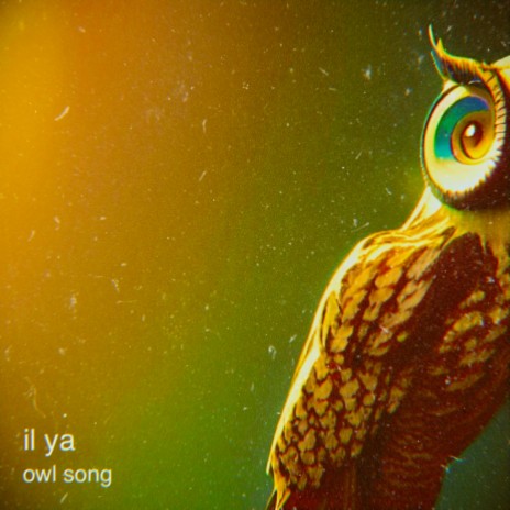 owl song