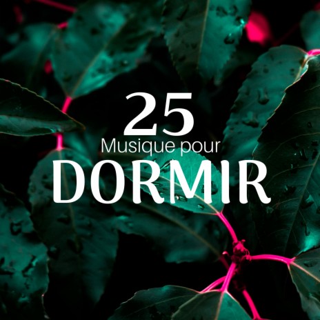 Musique pour mediter | Boomplay Music