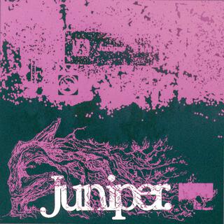 Juniper