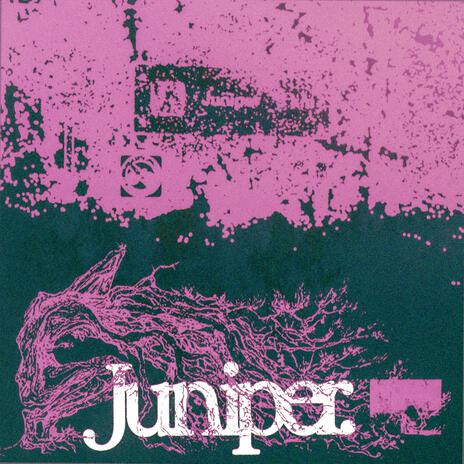 Juniper | Boomplay Music