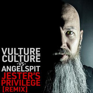 Jester's Privilege (Vulture Culture Remix) ft. Vulture Culture lyrics | Boomplay Music