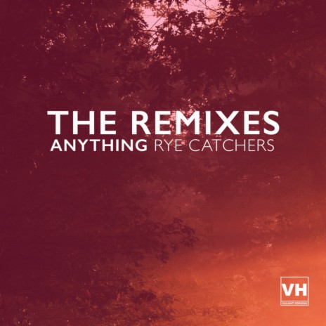 Anything (David McClintick Roberts Remix) | Boomplay Music