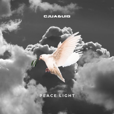 Peace Light | Boomplay Music