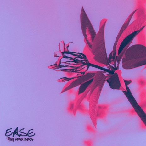 Ease | Boomplay Music