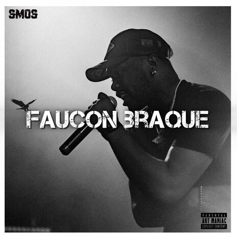 Faucon braque | Boomplay Music