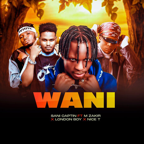 WANI ft. Londonboy, M Zakir Niger & Nice T | Boomplay Music