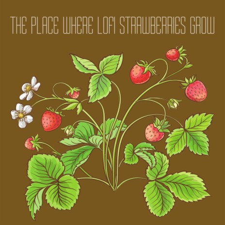 The Place Where Lofi Strawberries Grow | Boomplay Music