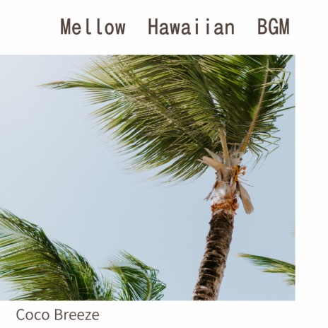 Hawaiian Barbecue | Boomplay Music