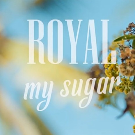 My Sugar | Boomplay Music