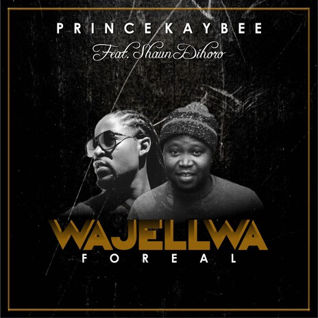 Wajellwa ft. Shaun Dihoro | Boomplay Music