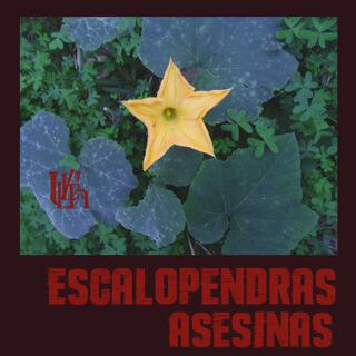 ESCALOPENDRAS ASESINAS lyrics | Boomplay Music