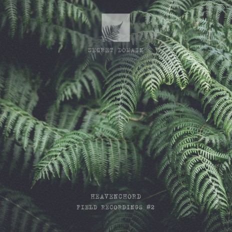 Field Recordings 09 | Boomplay Music