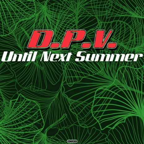 Until Next Summer (Original Mix) | Boomplay Music