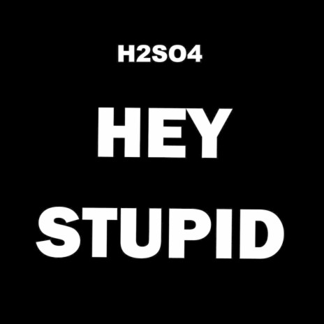 Hey Stupid | Boomplay Music