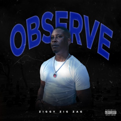 Observe | Boomplay Music