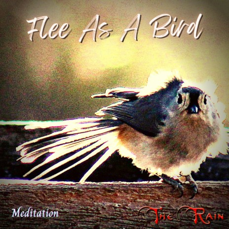 Flee as a Bird ft. Lauren Mazzio & The Rain | Boomplay Music