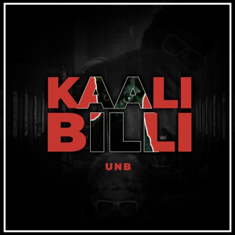 Kaali Billi | Boomplay Music