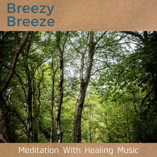 Meditation With Healing Music