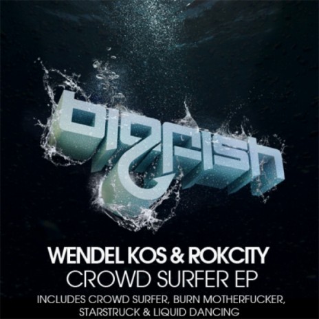 Crowd Surfer (Original Mix) ft. Wendel Kos | Boomplay Music