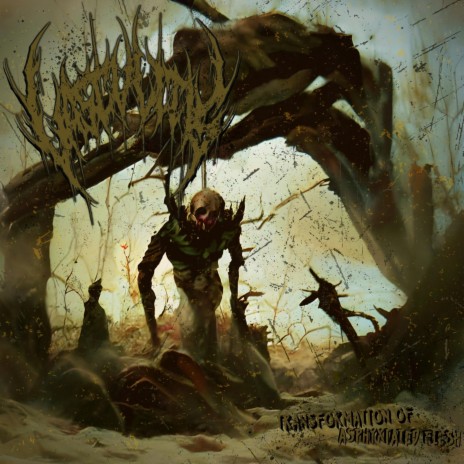 Transformation Of Asphyxiated Flesh | Boomplay Music