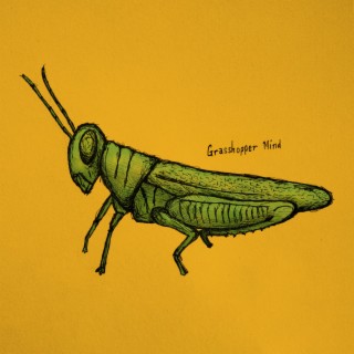 Grasshopper Mind lyrics | Boomplay Music