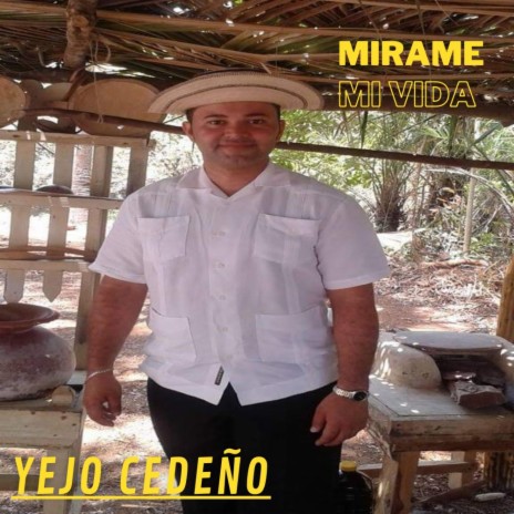 Mirame mi vida | Boomplay Music