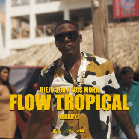 Flow Tropical ft. Luis Moka | Boomplay Music