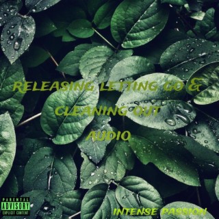 Releasing cleaning & letting go audio