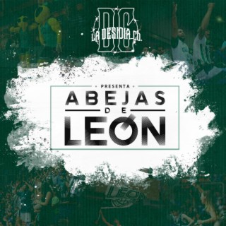 Abejas de León