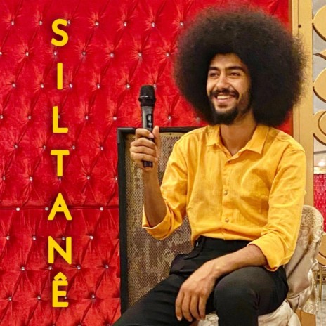 SILTANE (Şexani Delilo) | Boomplay Music