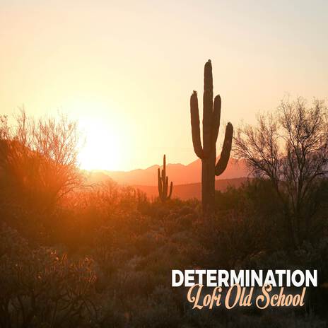 Determination Lofi Old School ft. Zelma Dior & Matt Uelmen | Boomplay Music