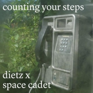 counting your steps