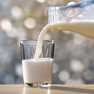 106. Le contraddizioni del latte