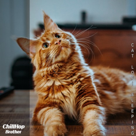 Bell the cat | Boomplay Music