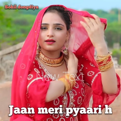 Jaan Meri Pyari H