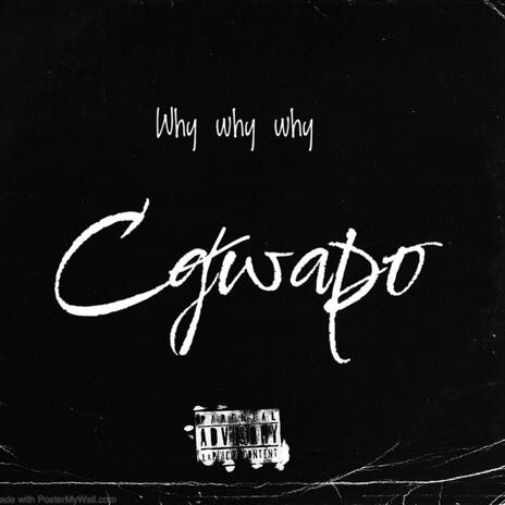 Why Why Why | Boomplay Music