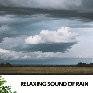 Relaxing Sound of Rain: Melodies from the Clouds