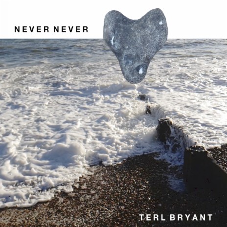 Never Never | Boomplay Music