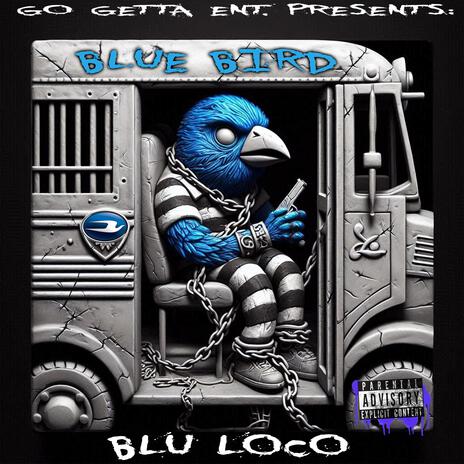 Blue Bird | Boomplay Music