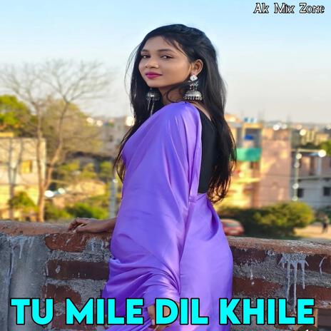 Tu Mile Dil Khile (Instrumental) | Boomplay Music