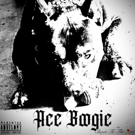 Ace Boogie | Boomplay Music